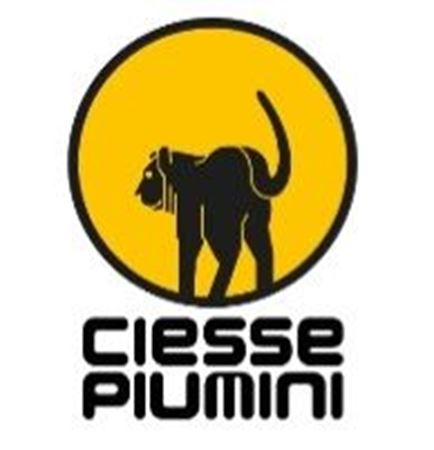 Immagine per la categoria CIESSE PIUMINI